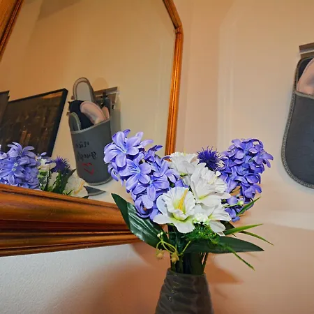 Auszeit Im Herzen Von Mit Privatgarage Apartment Villach